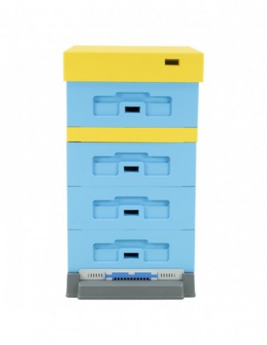 Dadant 1/2 beehive with high hygienic bottom board - painted