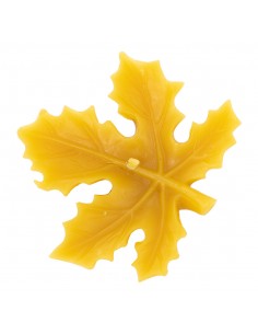 Silicone mold - Maple leaf Silicone mold - Maple leaf