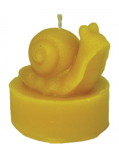 Silicone mold – Tealight Snail Silicone mold – Tealight Snail