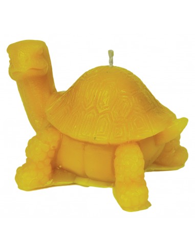 Silicone mould – Turtle, new