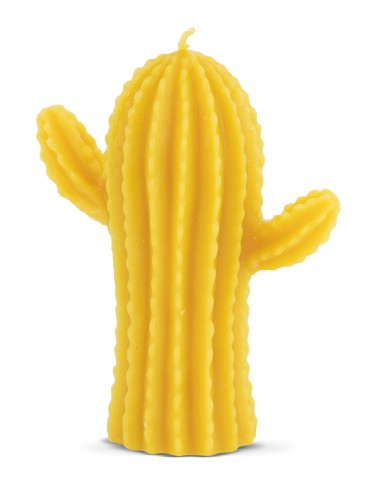 Moule en silicone - Cactus