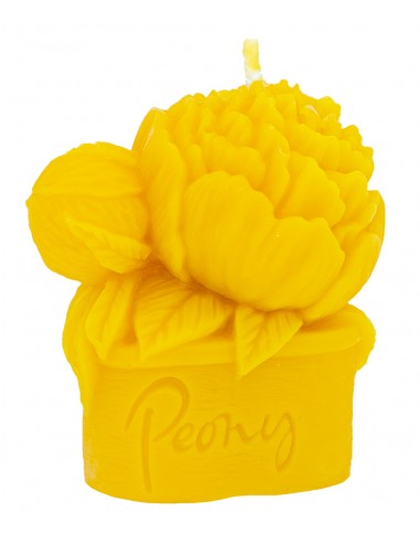Silicone mould - Peony