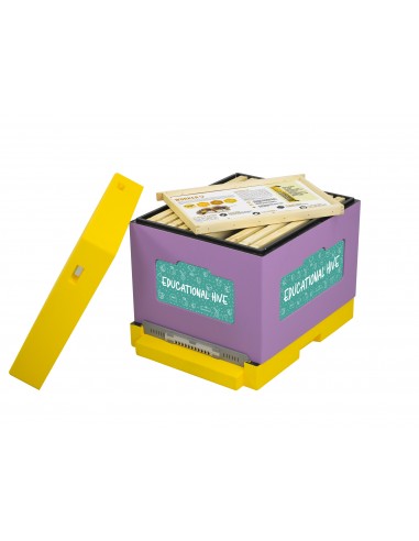 The educational beehive with a set of 12 frames with teaching boards