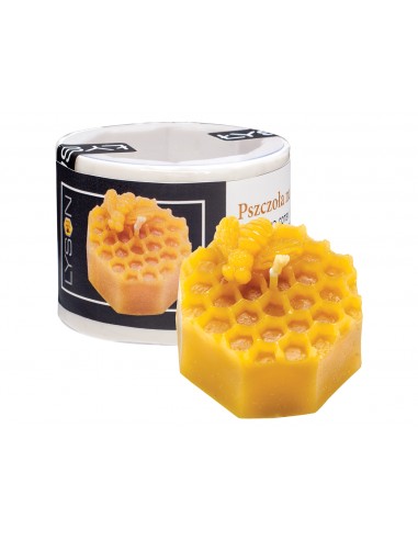 Silicone mold – Bee on the honeycomb Silicone mold – Bee on the honeycomb
