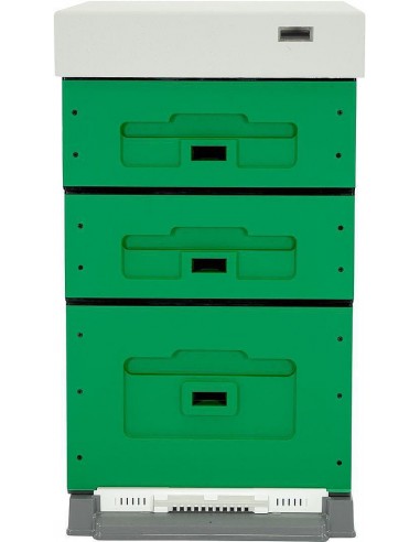 Beehive Dadant 10 frames, painted (dark green), unassembled
