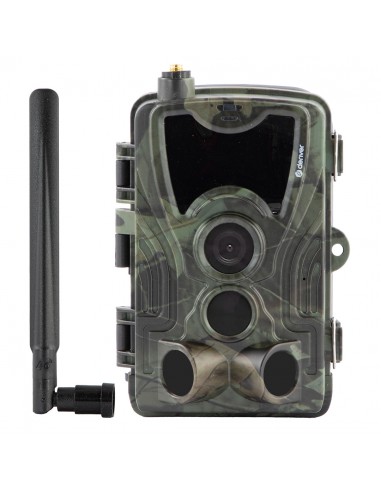 Camera trap for apiary