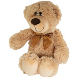 Teddy bear Teddy bear
