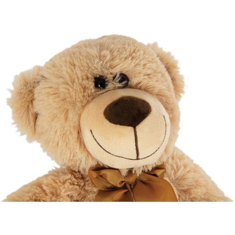 Teddy bear Teddy bear