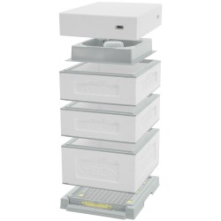 copie de copie de copie de Multi-frame American Langstroth beehive, 10 frames, low roof, not painted copie de copie de copie de Multi-frame American Langstroth beehive, 10 frames, low roof, not painted